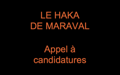 Projet musical solidaire dédié aux artistes musiciens et chanteurs valaisans