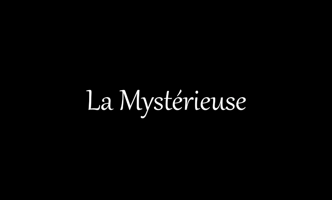 Découvrez „La Mystérieuse“, de Sylvie et ses comparses Christine et Frédéric