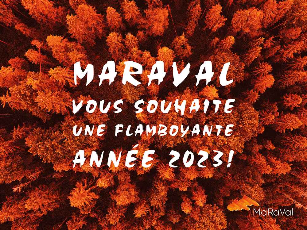 Voeux_FR_2022 Voeux de find d'année 2022