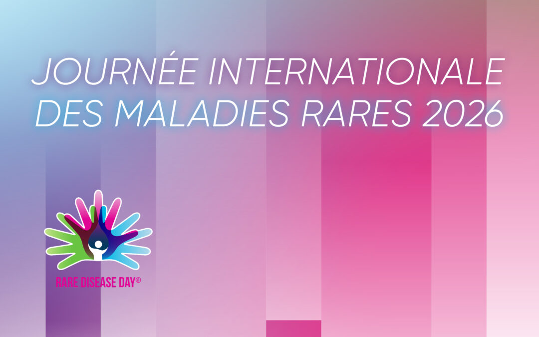 Le Valais s’illumine… Décore ton cupcake !