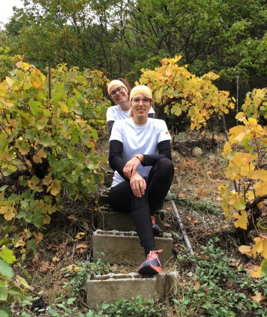 Au milieu des vignes, à Fully